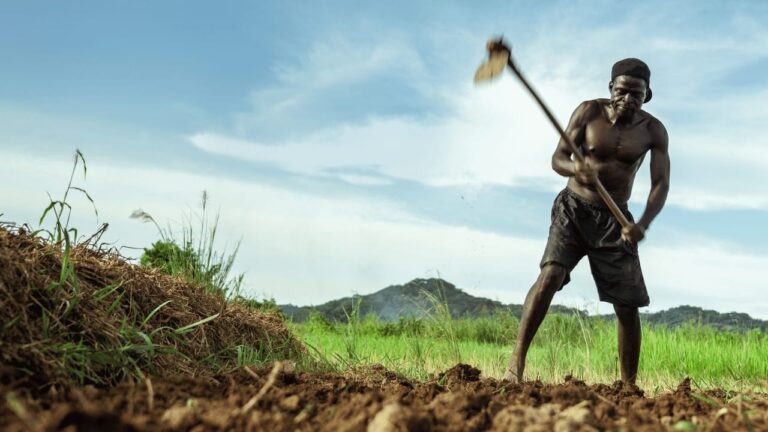 Traditional Farming Practices - a man ploughing land