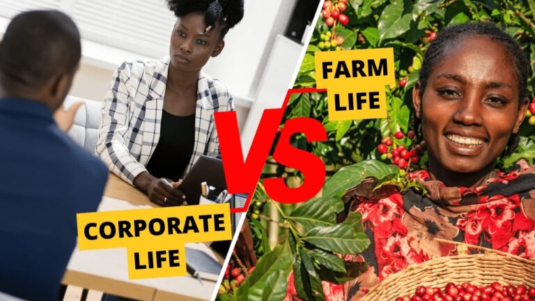 Corporate life vs farm life picture of lady in office and lady in the farm