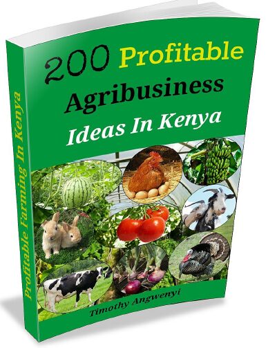 200 agribusiness ideas 2017 by Timothy Angwenyi